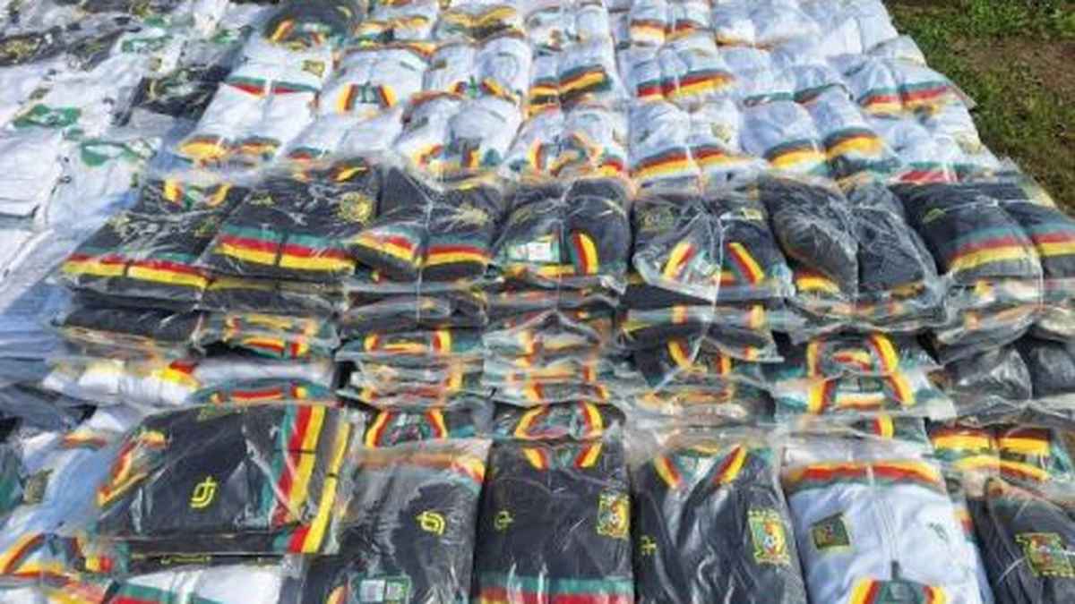Cameroon Customs Seizes Counterfeit Lions Jerseys in Douala